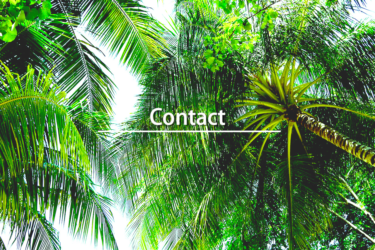 Contact