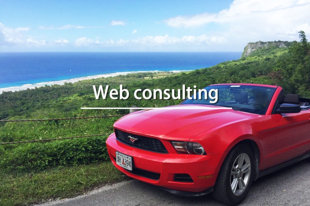 Web consulting